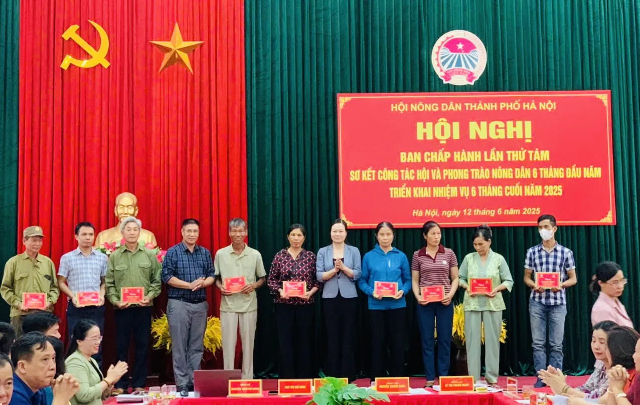 Hình ảnh 2