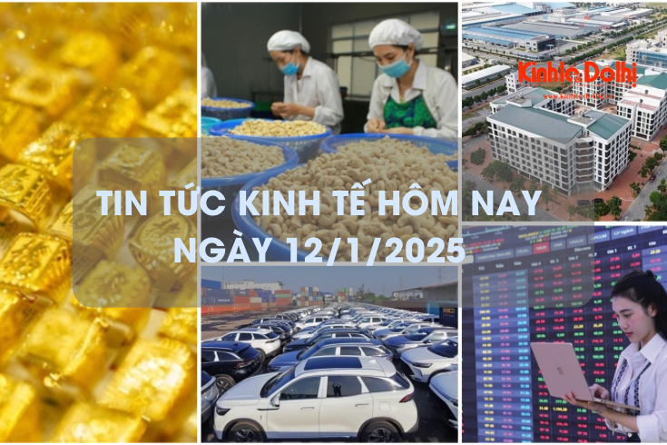 Tin tức kinh tế 12/1/2026: xuất khẩu hạt điều Việt Nam lập kỷ lục