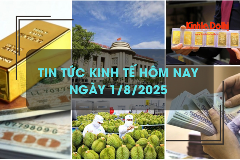 Tin tức kinh tế 1/8: tín dụng tăng gần 10% sau 7 tháng