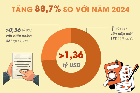 Đầu tư của Việt Nam ra nước ngoài tăng cao trong năm 2025