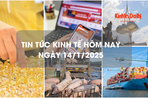 Tin tức kinh tế 14/1/2026: giá vận tải biển tăng sốc