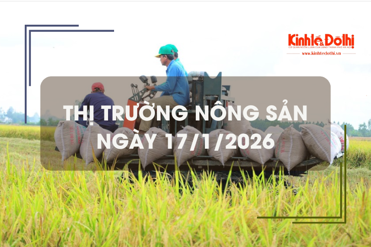 Thị trường nông sản ngày 17/1/2026: giá phụ phẩm tăng nhẹ