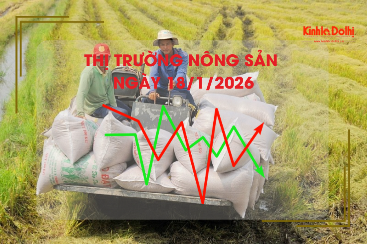 Thị trường nông sản ngày 18/1/2026: lúa tươi có xu hướng giảm