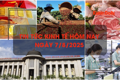Tin tức kinh tế 7/8: cà phê lập kỷ lục về giá trị xuất khẩu sau 7 tháng