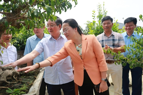 Phát huy vai trò của Hội Nông dân trong bảo vệ quyền lợi hội viên