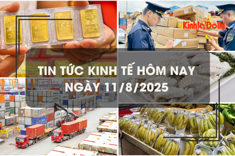 Tin tức kinh tế 11/8: Hải quan thu ngân sách trên 261.000 tỷ đồng
