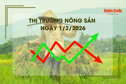 Thị trường nông sản ngày 1/2/2026: giá lúa cuối tuần bình ổn, nhu cầu mua cầm chừng