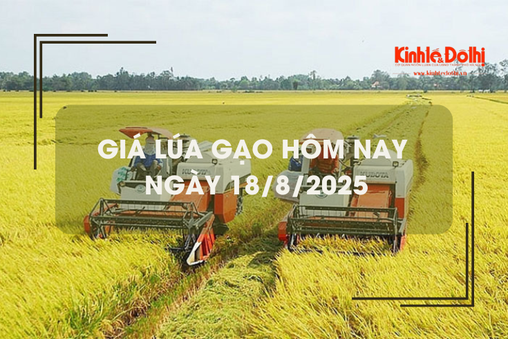Giá lúa gạo hôm nay ngày 18/8: giao dịch mua bán vắng, giá lúa gạo các loại bình ổn.