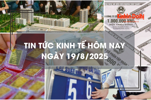Tin tức kinh tế 19/8: giá USD ngân hàng vượt mốc 26.500 đồng