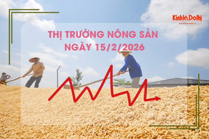 Thị trường nông sản ngày 15/2: Đài Thơm 8 được Philippines ưa chuộng