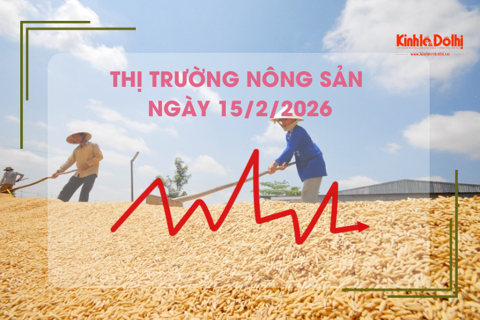 Thị trường nông sản ngày 15/2: Đài Thơm 8 được Philippines ưa chuộng