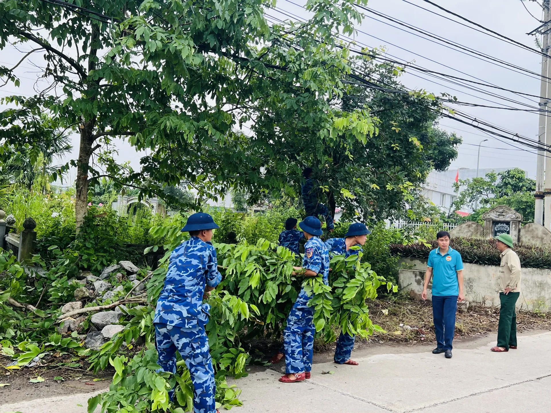 Hình ảnh 5