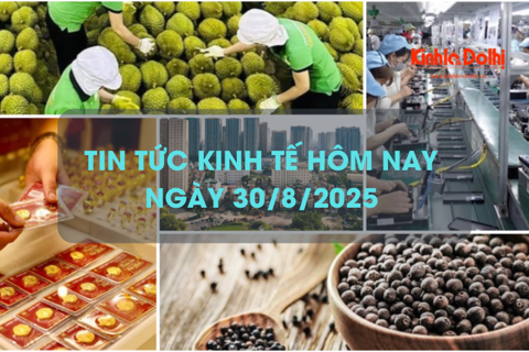 Tin tức kinh tế 30/8: nợ vay của doanh nghiệp bất động sản tăng nhanh