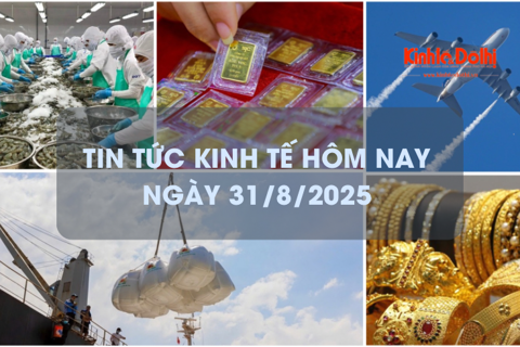 Tin tức kinh tế 31/8: Việt Nam lọt top 2 xuất khẩu thủy sản sang Ấn Độ