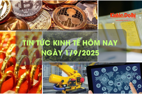 Tin tức kinh tế ngày 1/9: giá vàng neo đỉnh lịch sử
