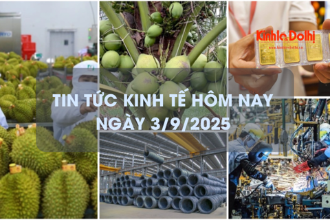 Tin tức kinh tế 3/9: giá vàng tăng mạnh, tiếp tục lập kỷ lục mới