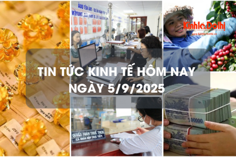 Tin tức kinh tế 5/9: xuất khẩu cà phê lập kỷ lục 6,42 tỷ USD