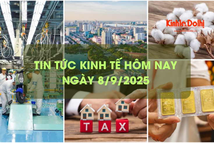 Tin tức kinh tế 8/9: giá vàng lao dốc