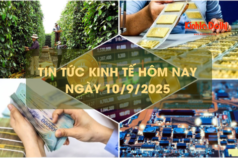 Tin tức kinh tế 10/9: xuất khẩu hồ tiêu đạt mức cao nhất 7 năm trở lại đây