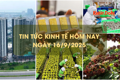 Tin tức kinh tế 16/9: bất động sản rớt giá trăm tỷ sau 1 tháng