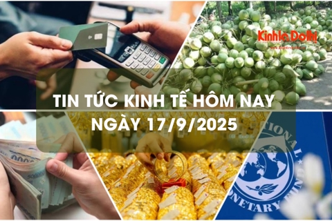 Tin tức kinh tế 17/9: IMF hạ dự báo tăng trưởng GDP Việt Nam 2025 xuống 6,5%