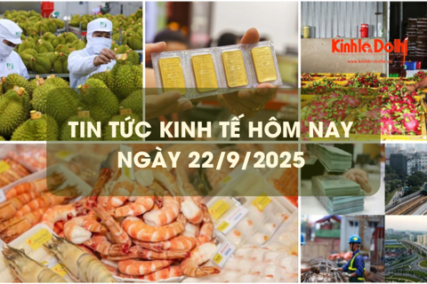 Tin tức kinh tế 22/9: xuất khẩu rau quả lập kỷ lục mới