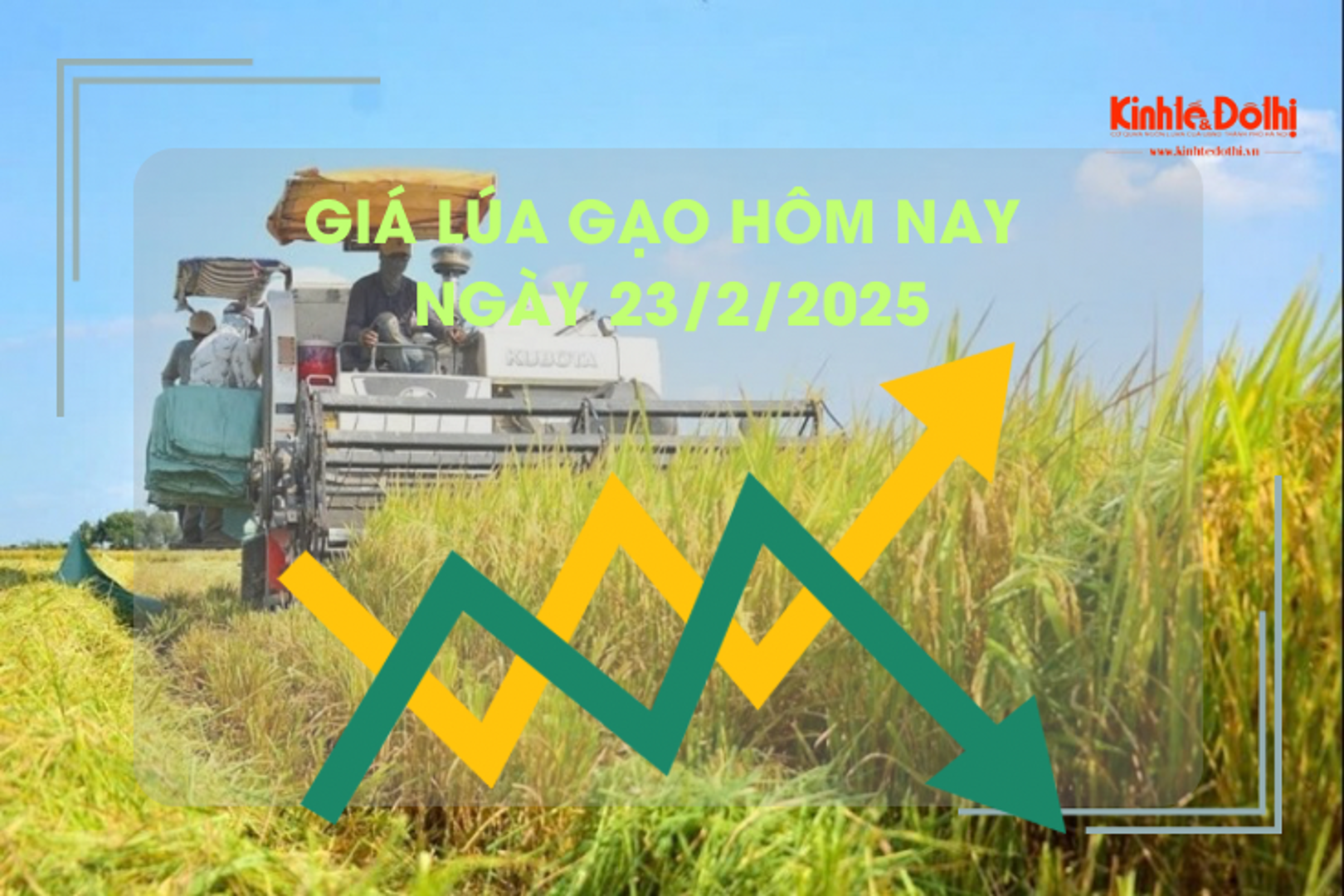 Giá lúa gạo hôm nay 23/2: gạo nguyên liệu giảm nhẹ 4 USD/tấn
