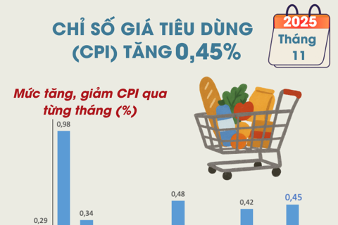Chỉ số giá tiêu dùng tháng 11 năm 2025 tăng 0,45%