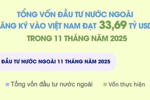 Vốn FDI đăng ký vào Việt Nam trong 11 tháng đạt 33,69 tỷ USD