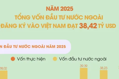 Năm 2025: vốn đầu tư trực tiếp nước ngoài thực hiện cao nhất trong 5 năm qua