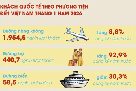 Việt Nam đón gần 2,5 triệu lượt khách quốc tế trong tháng 1/2026