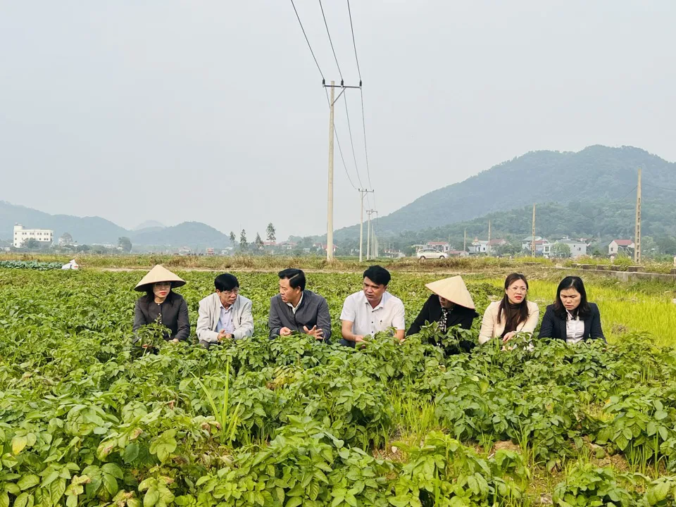 Hình ảnh 2