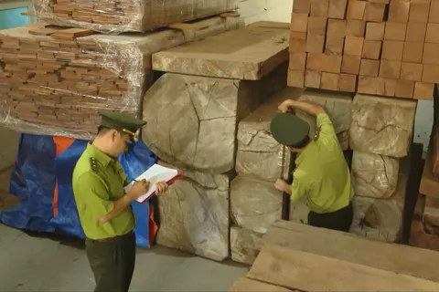 Lực lượng nòng cốt trong bảo vệ rừng, quản lý lâm sản 