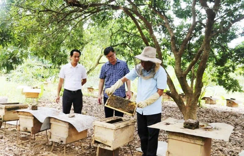 Hình ảnh 1