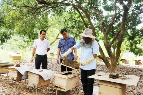 Kết nối thị trường tiêu thụ nông sản