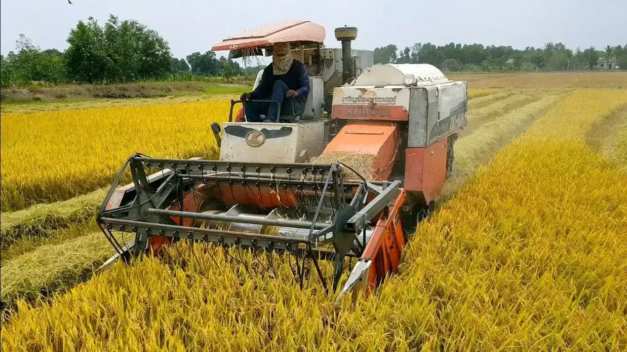 Hình ảnh 1