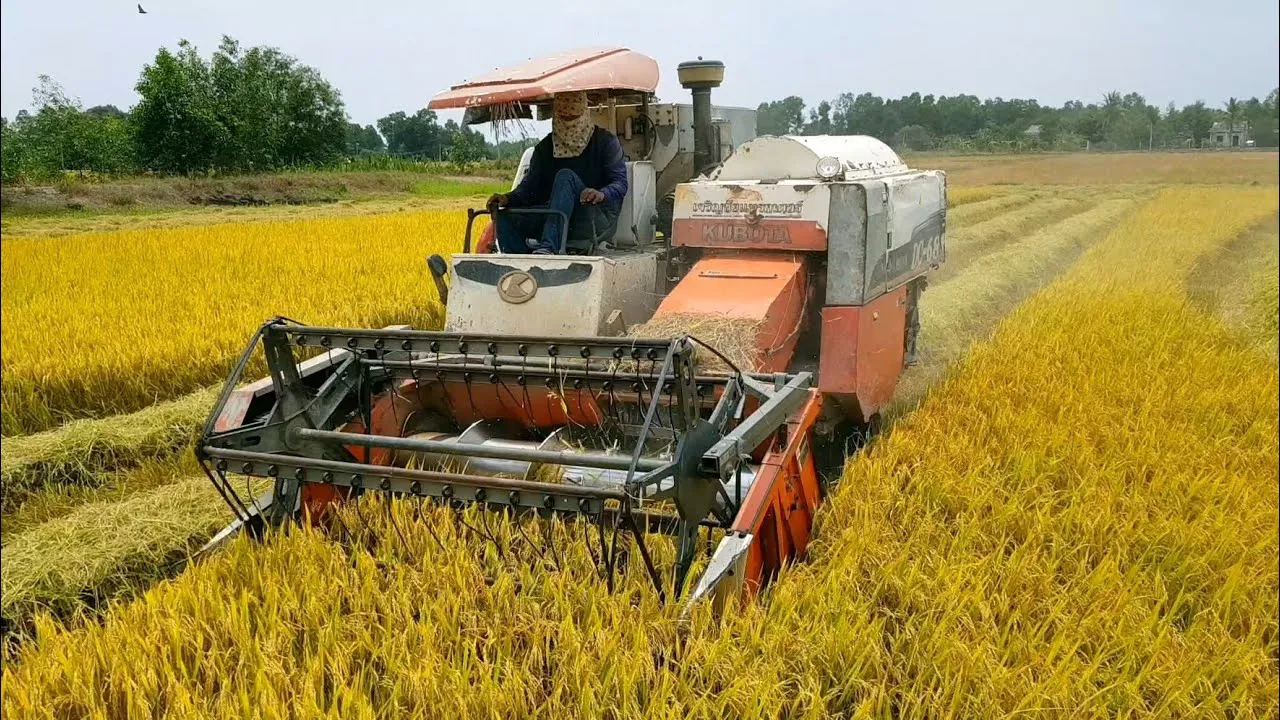 Hình ảnh 1