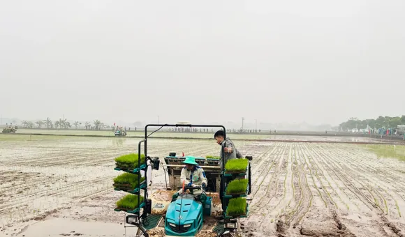 Quỹ Khuyến nông Hà Nội: Đồng hành cùng nông dân làm chủ kỹ thuật