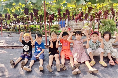 Gia tăng giá trị cho nông nghiệp Hà Nội