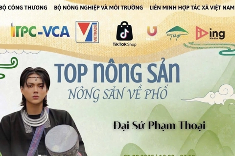 Bộ Công Thương không bổ nhiệm TikToker Phạm Thoại làm đại sứ nông sản xuất khẩu