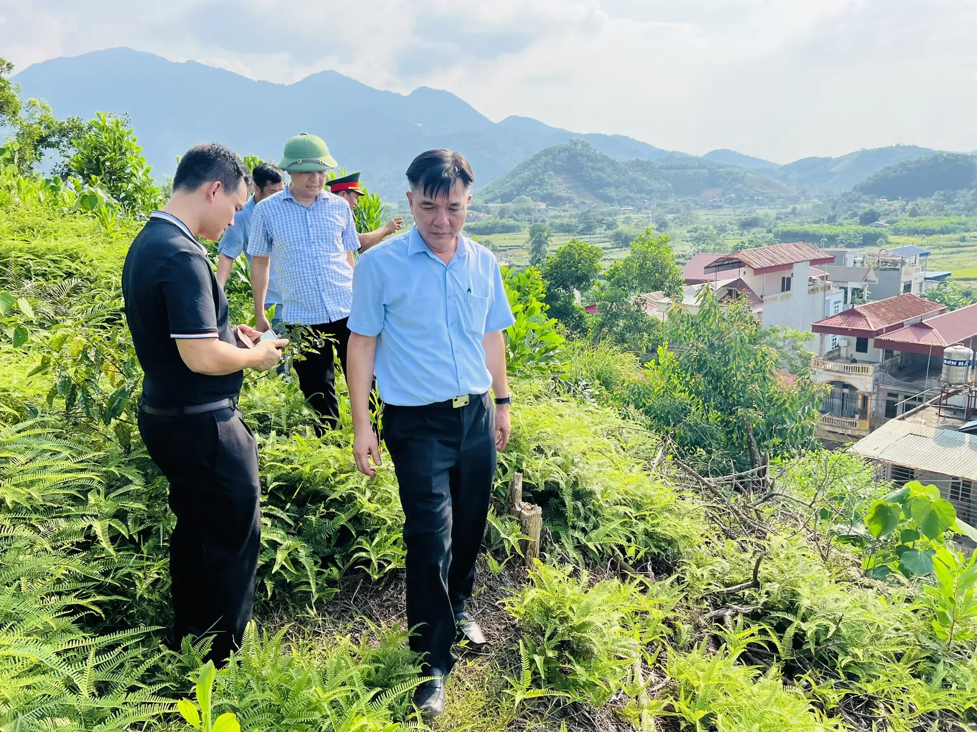 Rà soát rừng và đất lâm nghiệp, không thể chậm trễ hơn