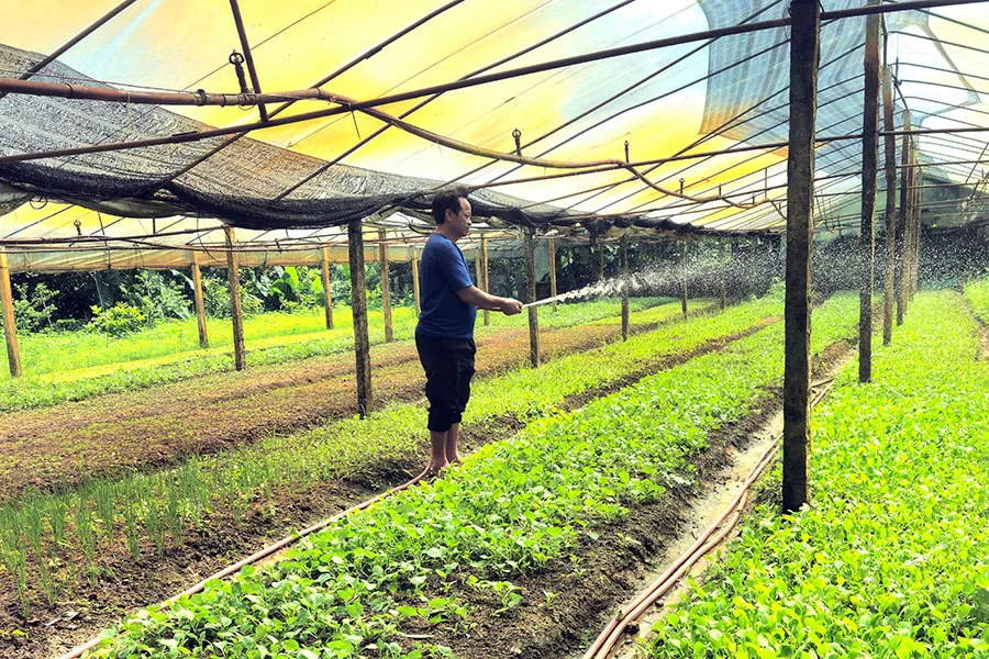 Đảm bảo nguồn cung nông sản dịp Tết 2026