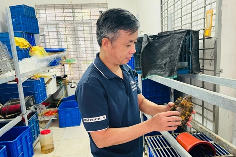 Bảo vệ động vật hoang dã mùa nắng nóng