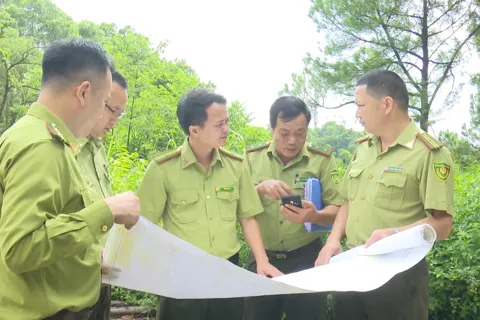 Hà Nội ứng dụng công nghệ trong quản lý, bảo vệ rừng 