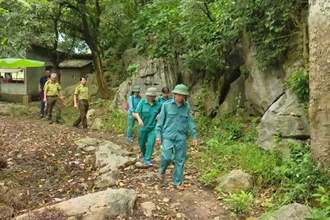 Cơ chế mới cho quản lý, phát triển rừng Hà Nội 