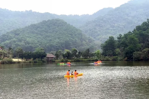 Hà Nội đẩy mạnh thực hiện dịch vụ môi trường rừng 