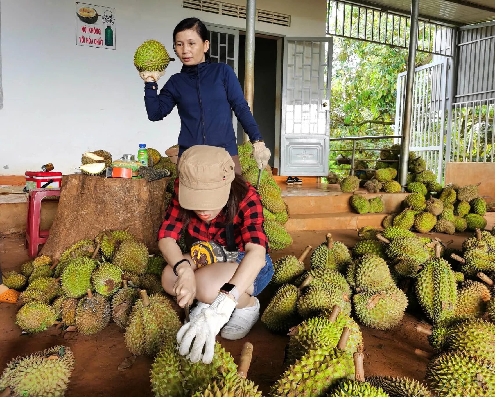 Tăng tốc xuất khẩu rau quả sang Trung Quốc