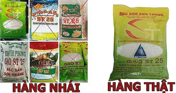 Hình ảnh 1
