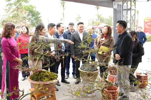 Thanh Oai khai mạc Chợ Hoa Xuân Bính Ngọ 2026