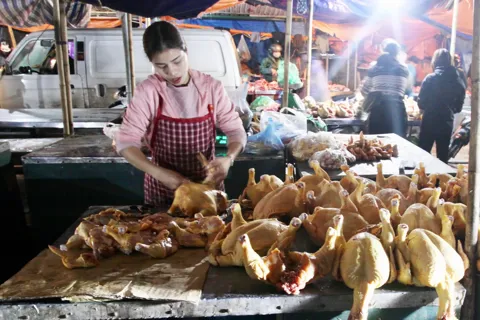 Không chủ quan với dịch bệnh gia súc, gia cầm